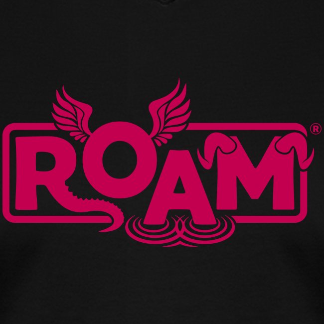 logo ROAM 8