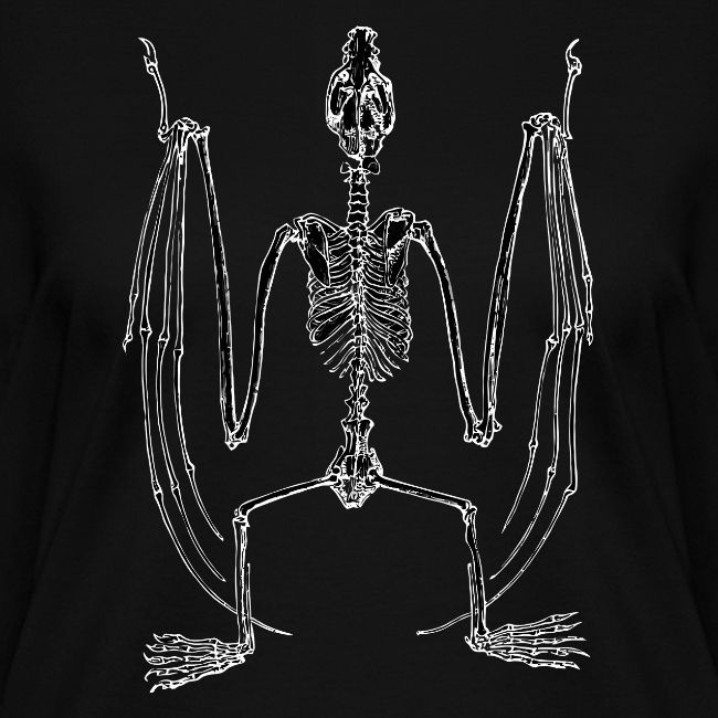 Bat Skeleton