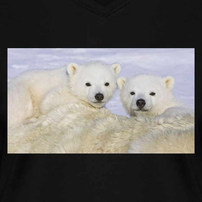 polarbears