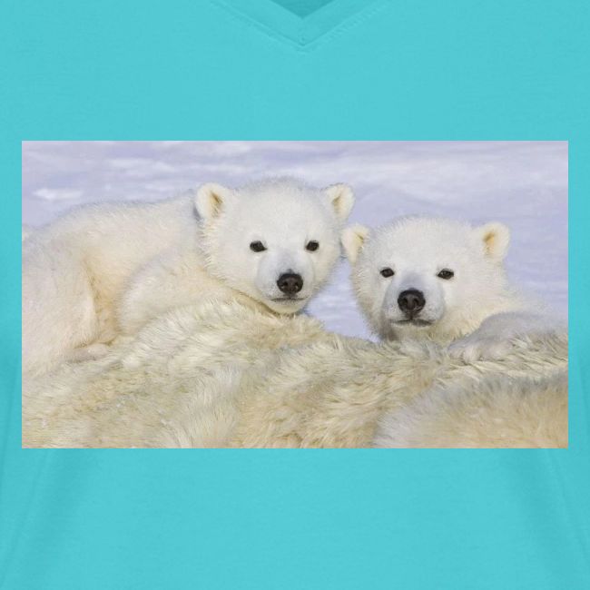 polarbears
