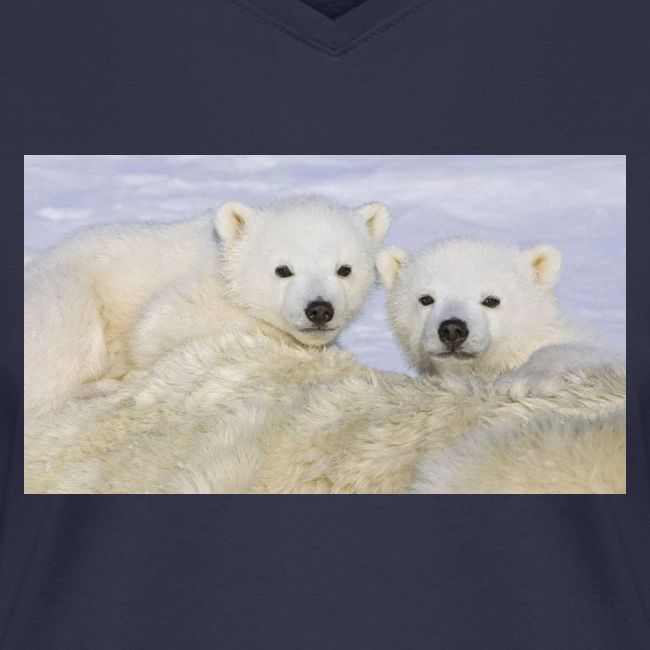 polarbears