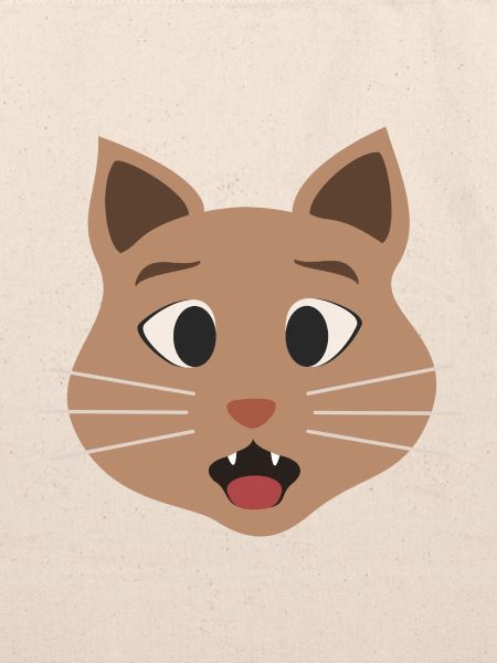 Surprised cat