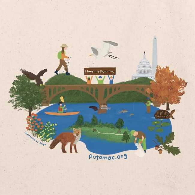 Icons of the Potomac