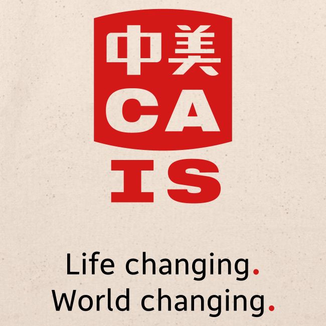 CAIS Core Value Dragons Inclusion
