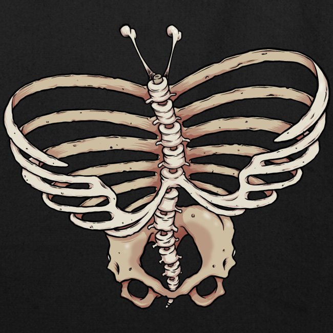 Butterfly skeleton