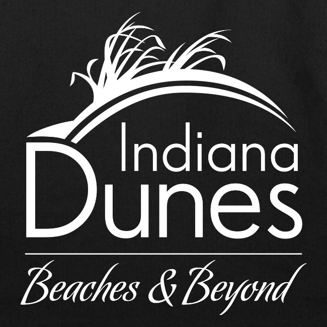 Indiana Dunes Beaches and Beyond