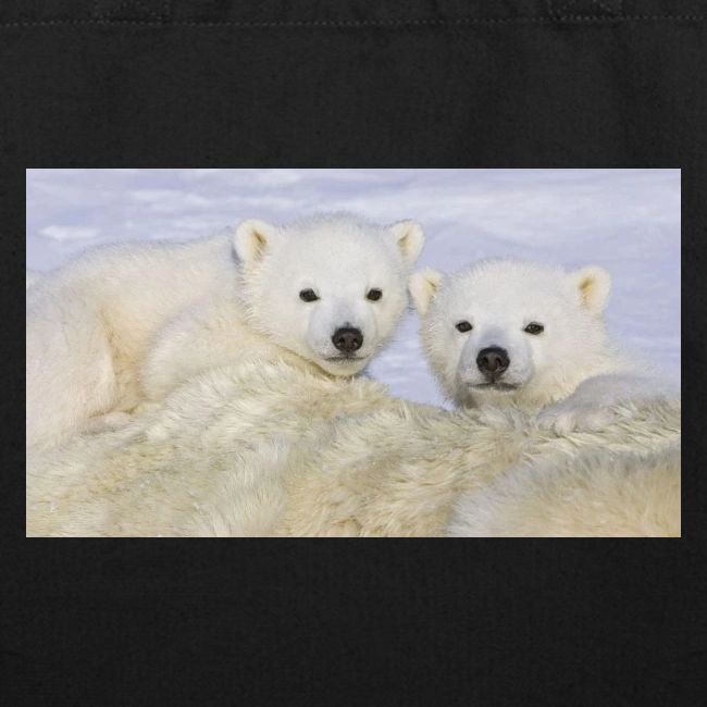 polarbears