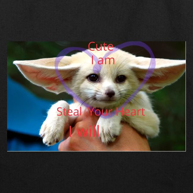 baby fox
