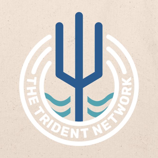 Trident Network Light
