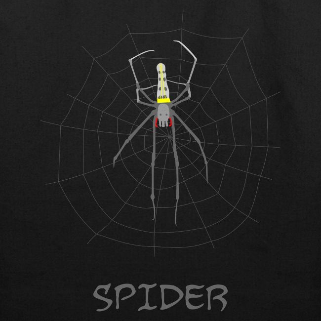 Spider - Nephila pilipes