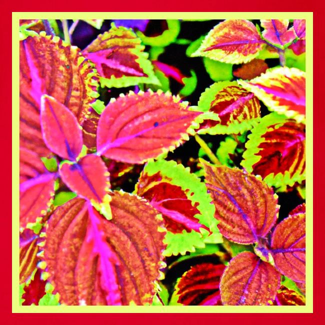 Vibrant RadiantLeaf Dreams Pattern