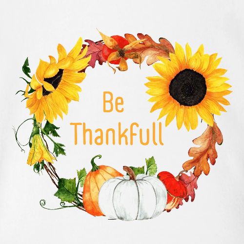 Be thanksfull - Organic Short Sleeve Baby Bodysuit