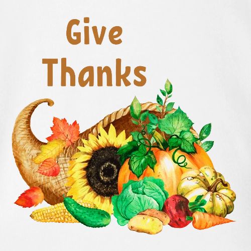 Give thanks - Organic Short Sleeve Baby Bodysuit