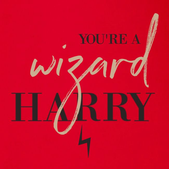 Yer A Wizard Harry