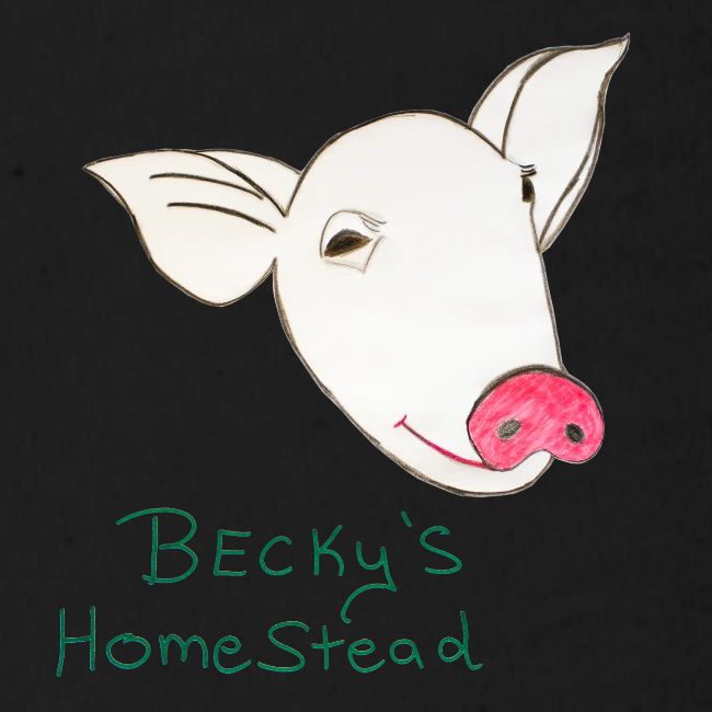 Piggy