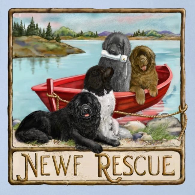 NCA Newfoundland Dog Rescue Gear