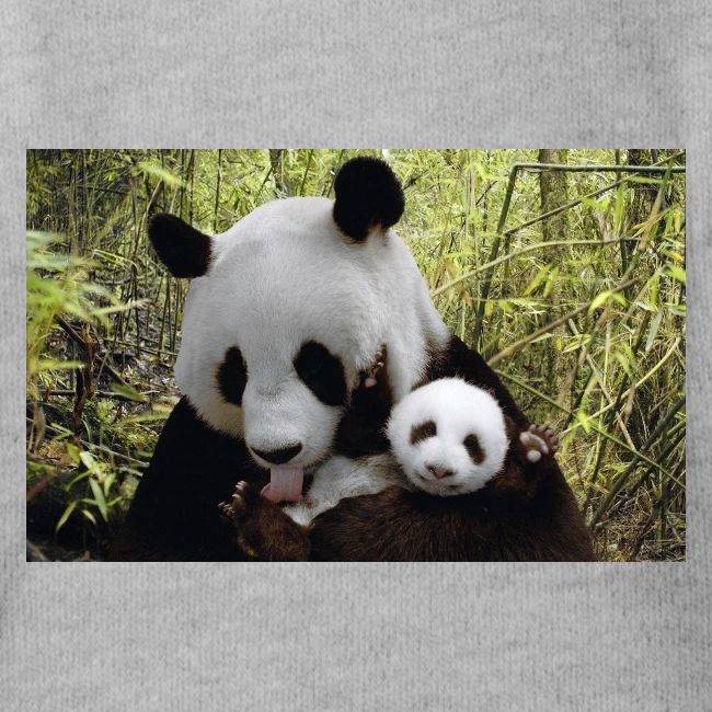panda