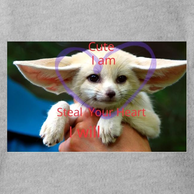 baby fox