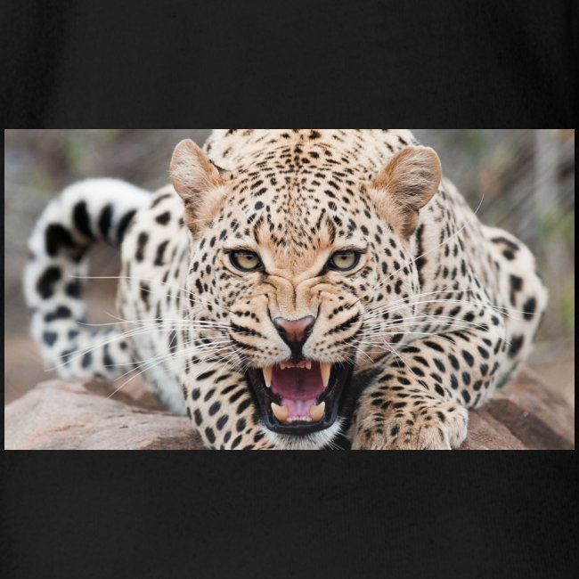 gandex ru 26 6055 léopard maléfique