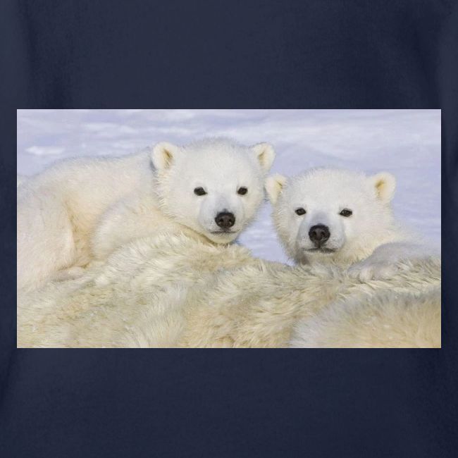 polarbears