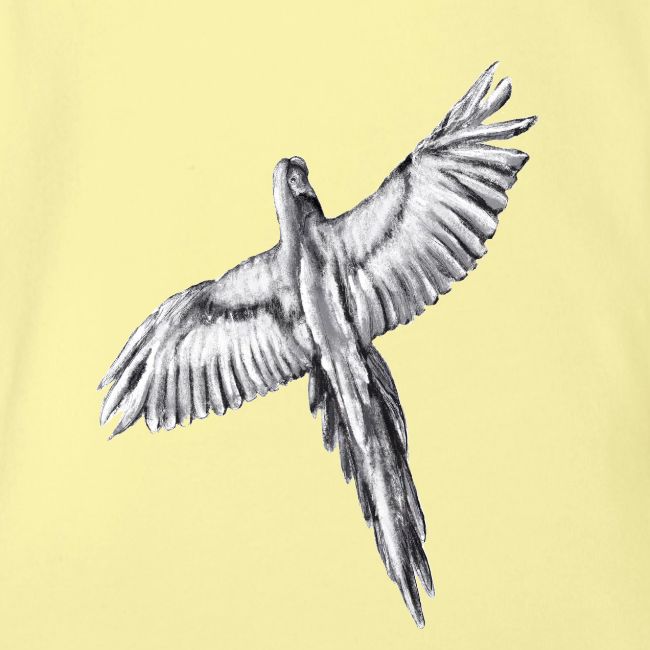 Flying parrot