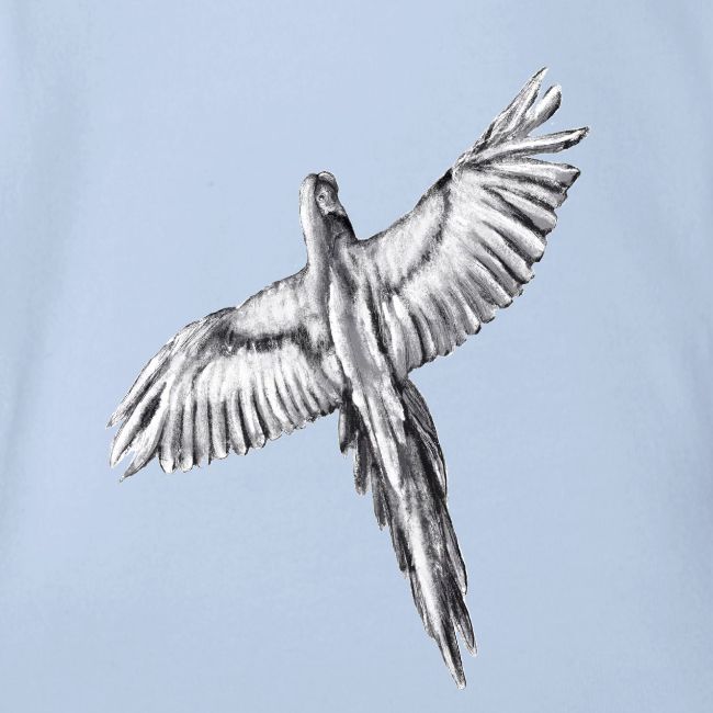Flying parrot