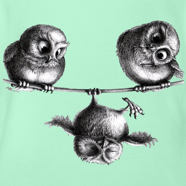 three owls - freedom and fun
