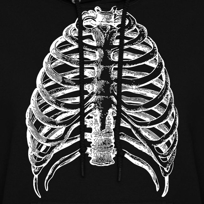 Human Rib Cage