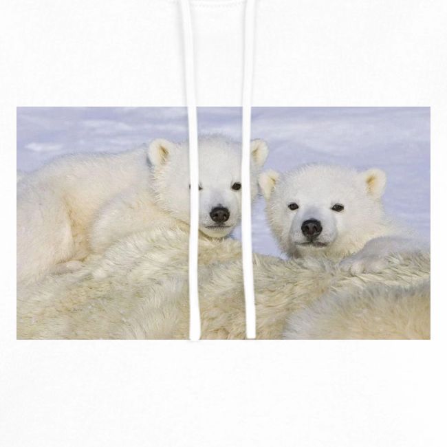 polarbears