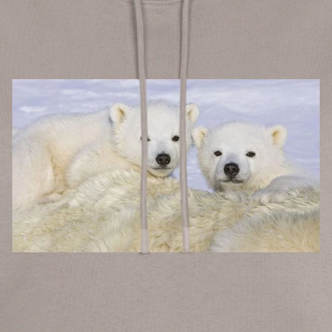 polarbears