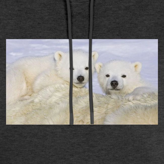polarbears