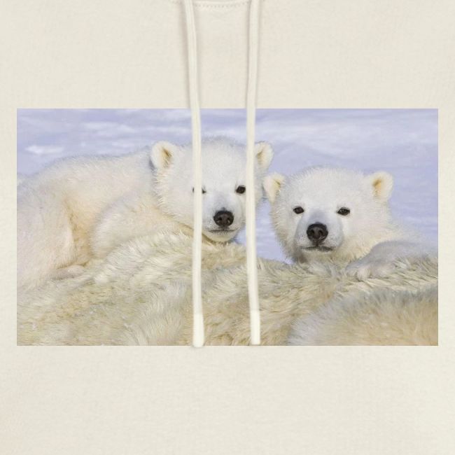 polarbears