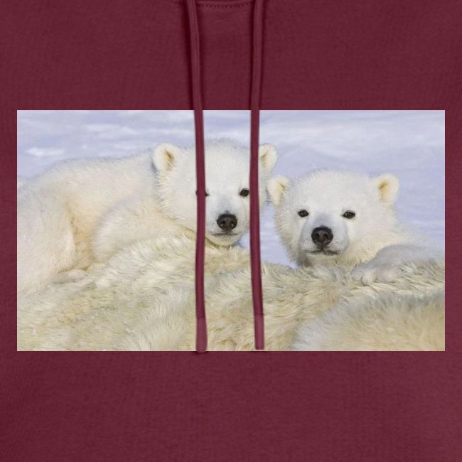 polarbears