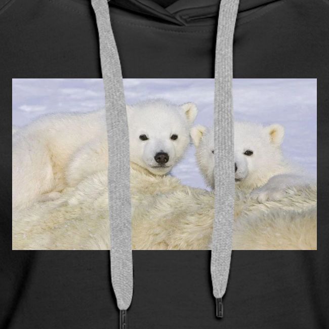 polarbears