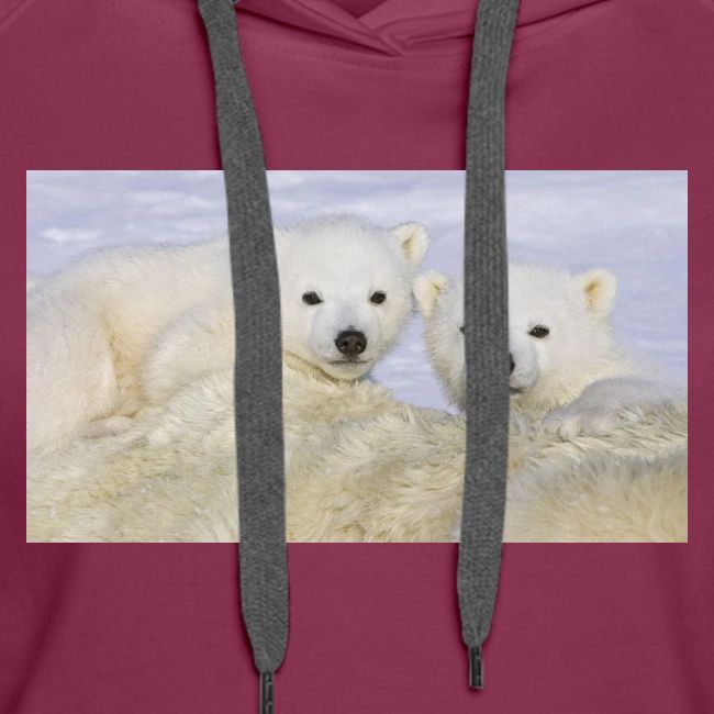 polarbears
