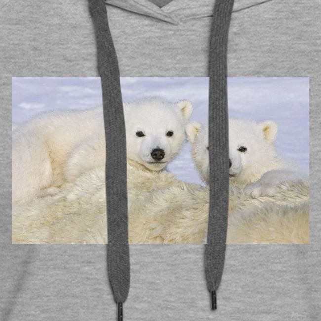 polarbears
