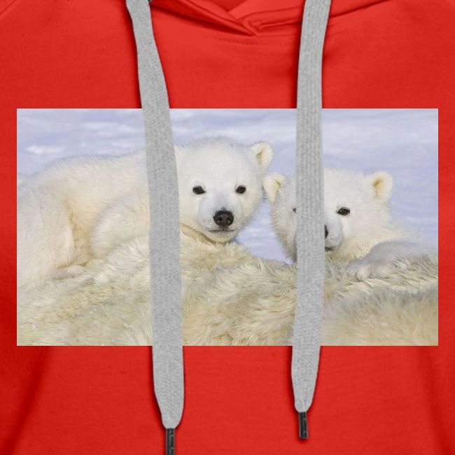 polarbears