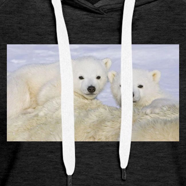 polarbears