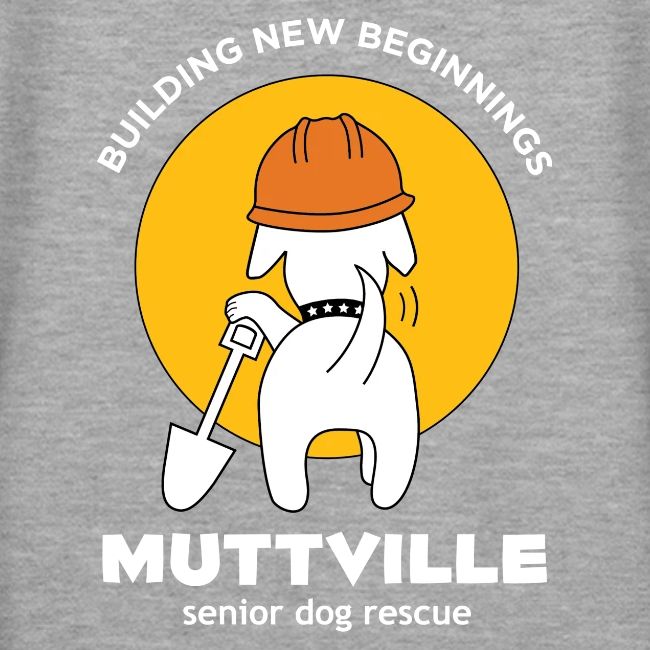 Building New Beginnings