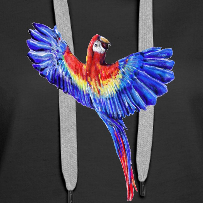 Scarlet macaw parrot