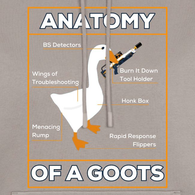 ANATOMY OF A GOOTS v1