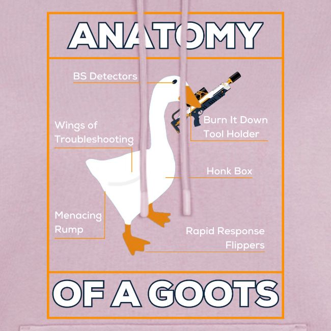 ANATOMY OF A GOOTS v1