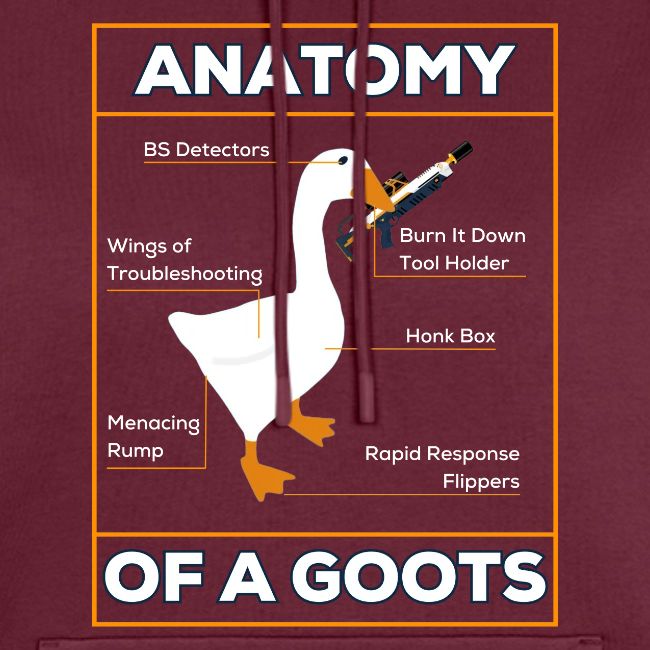 ANATOMY OF A GOOTS v1