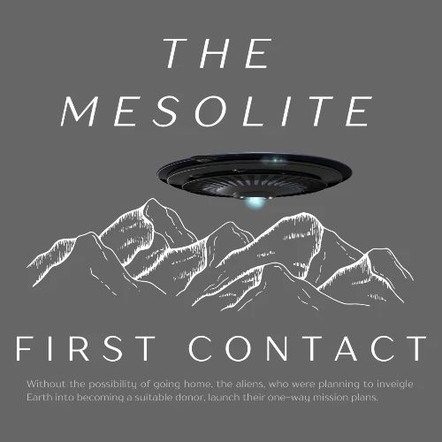 The Mesolite - First Contact - Women's Premium Hoodie