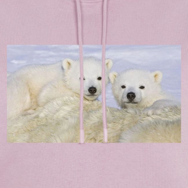 polarbears