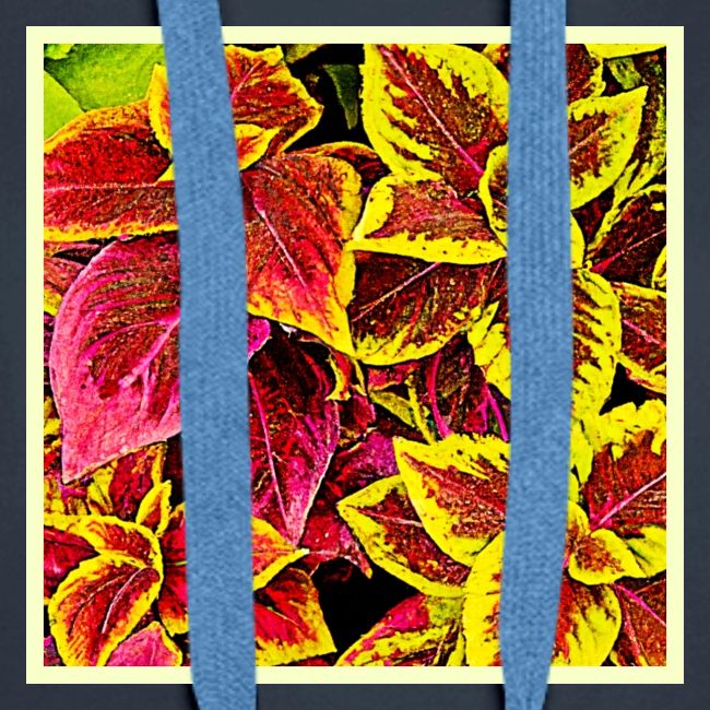 Coleus Leaf Burst Design