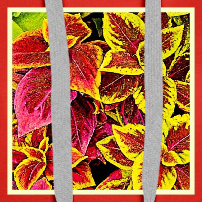 Coleus Leaf Burst Design