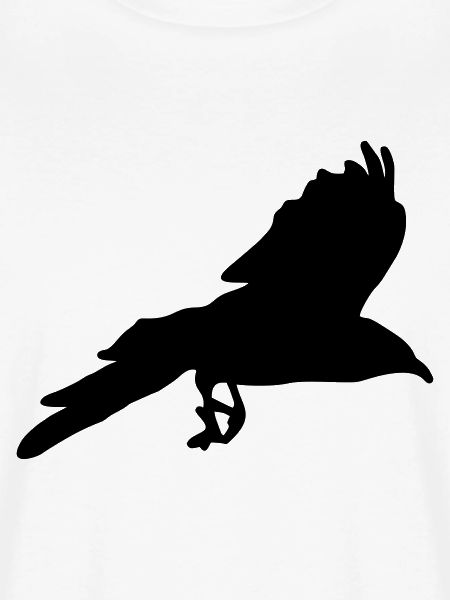 Raven, Crow