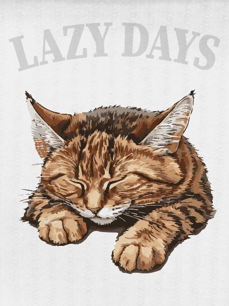 Lazy Days Cat Nap