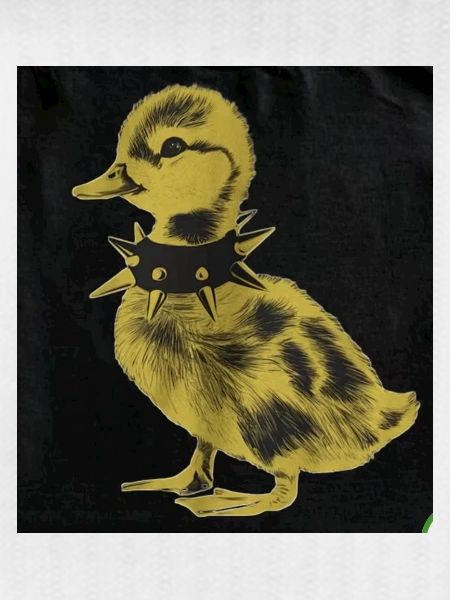 Punk Duck 